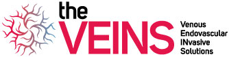 The VEINS Logo